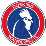 dorking wanserers FC logo